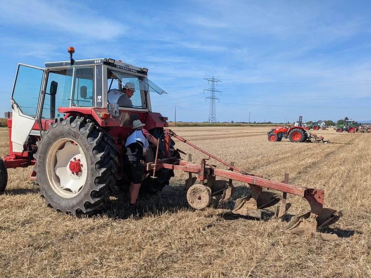 Nouvelle édition de "Terres en fête", organisée par les Jeunes Agriculteurs à Duntzenheim le 30.08.2026